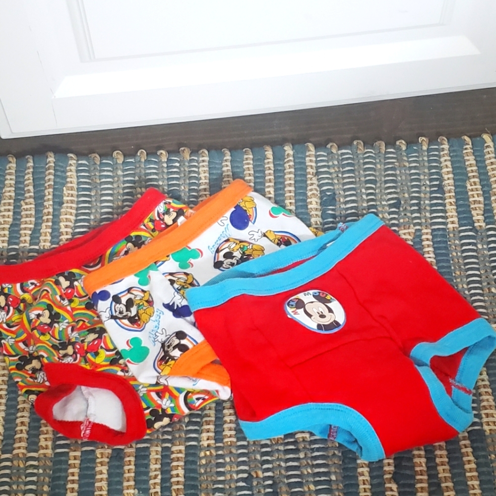 🪅NWOB Three Pair of Mickey Mouse Training Underwear🪅